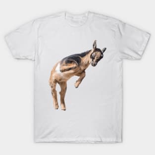 Bouncing Baby Goat 5 T-Shirt